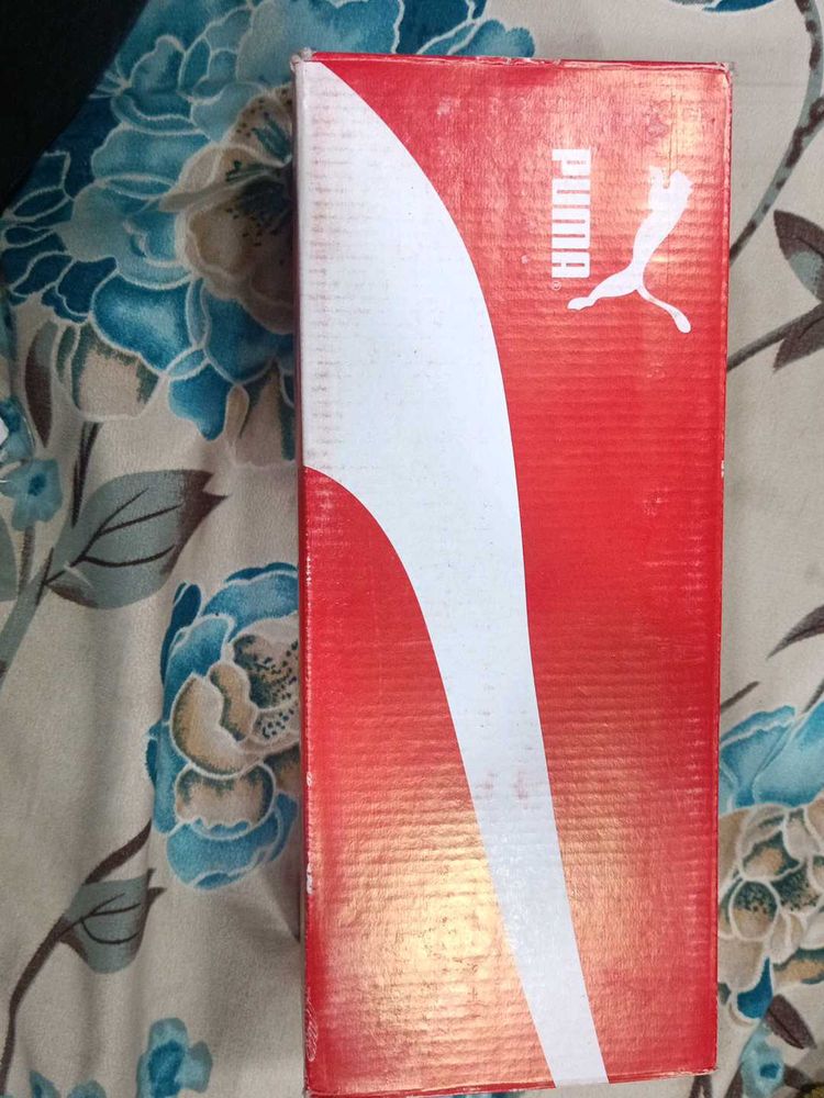 puma amg petronas formula One first copy flip flop