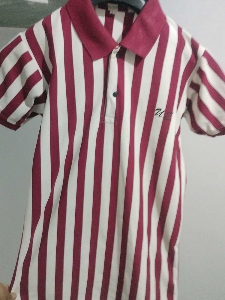 Stylish Polo T Shirt