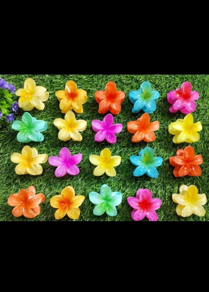 Pinterest Aesthetic Flower/ Sanrio Hair Clutchers