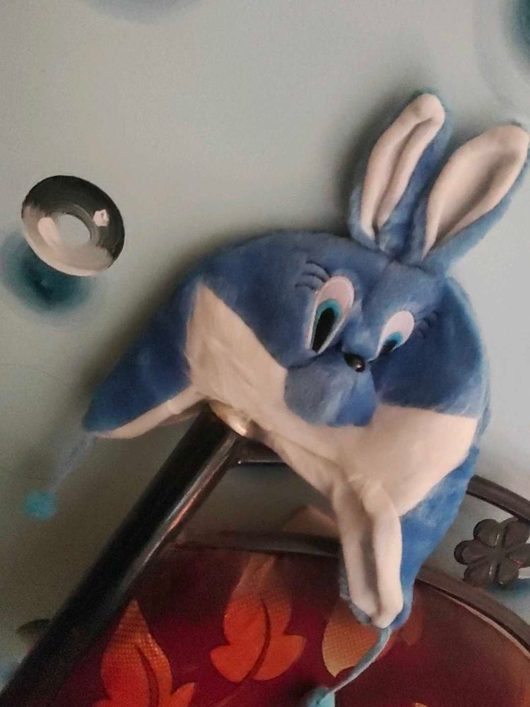 Blue Bunny Hat