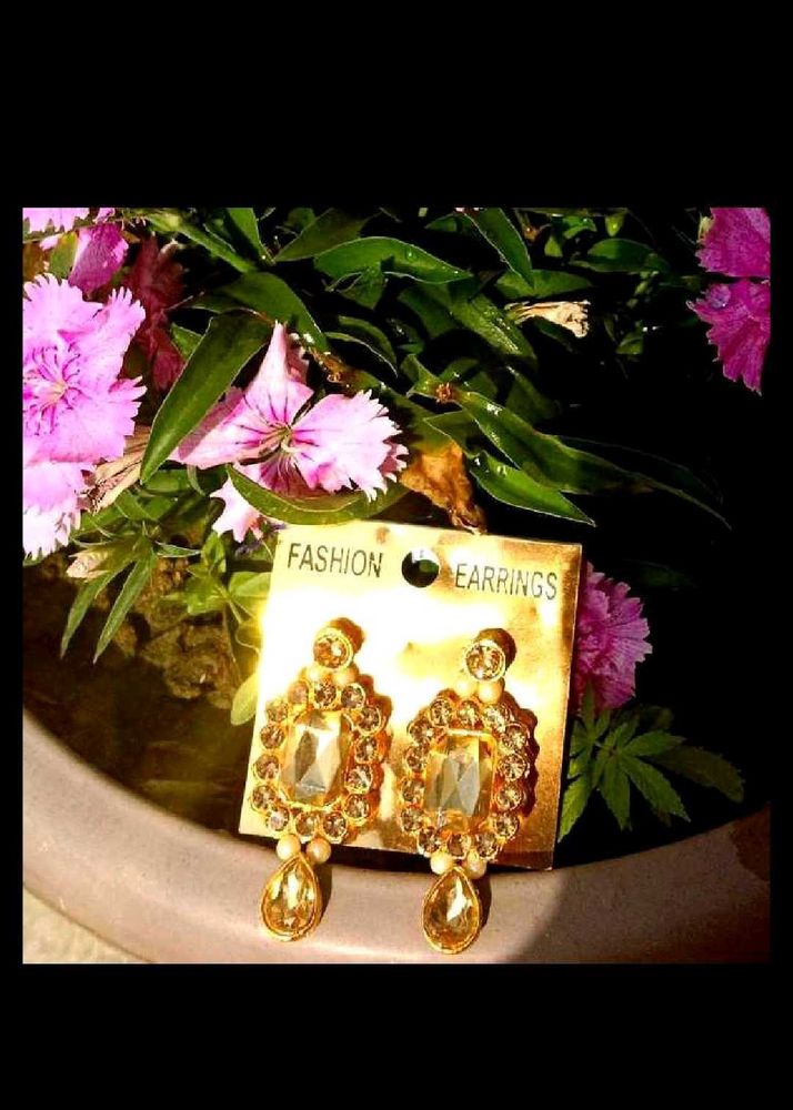 Fashion Earrings
