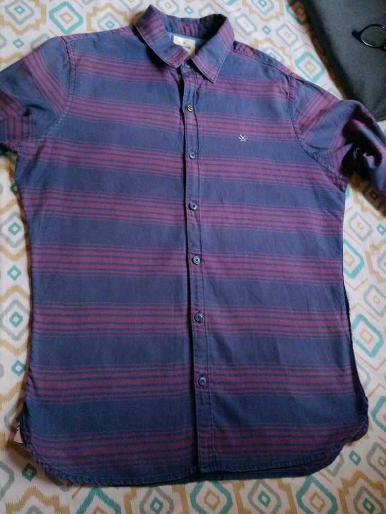 Striped Button-Down Shirt