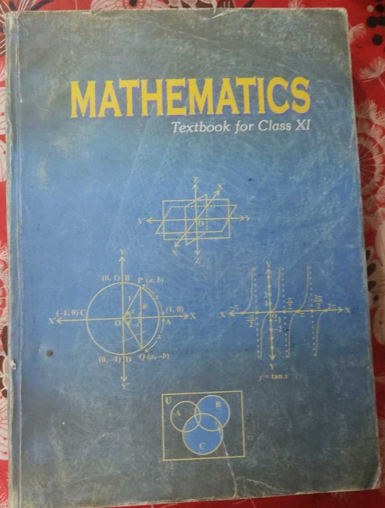 Mathematics Textbook - Class XI