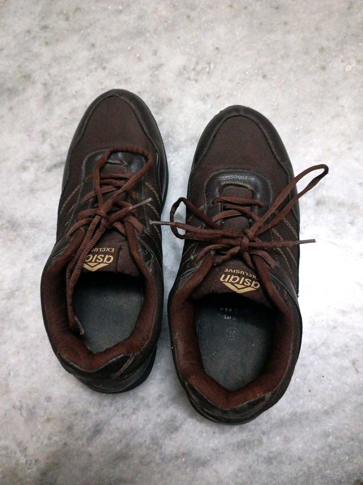 Asian Exclusive Brown Casual Shoes