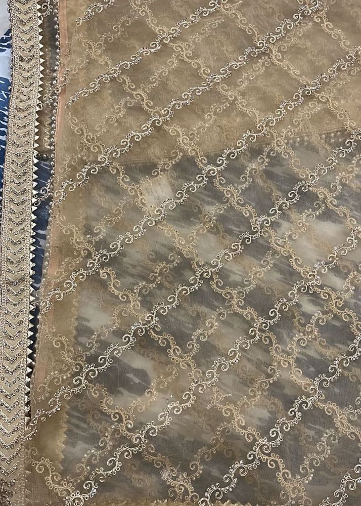 Gold Net Dupatta with Embellishments.