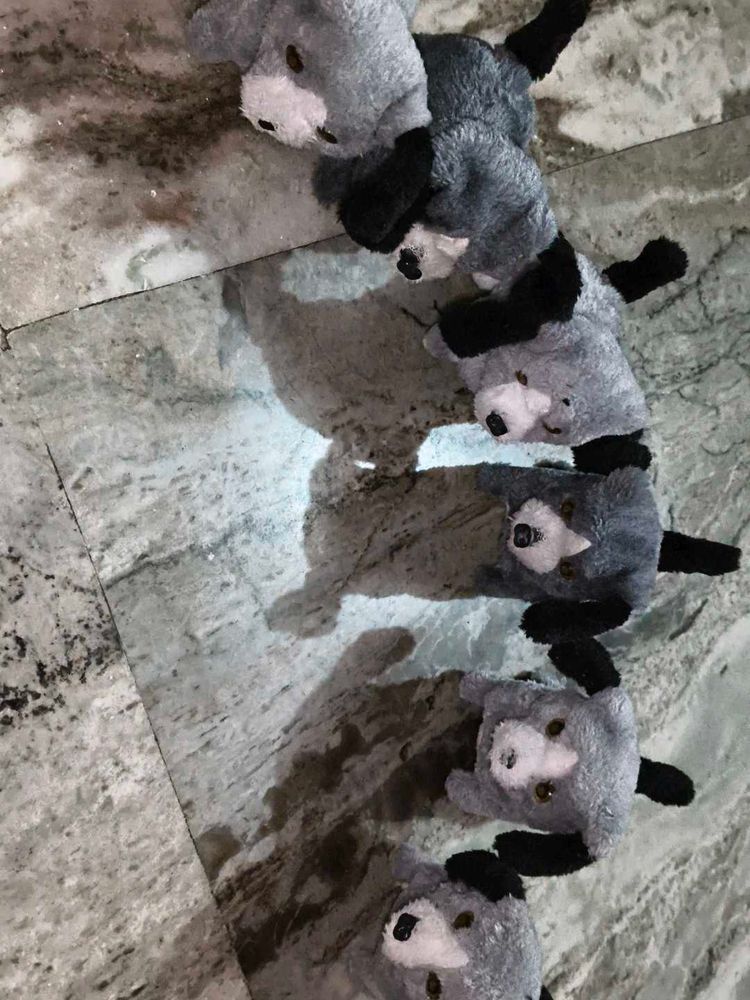 Cute Little Puppy Toy 🧸