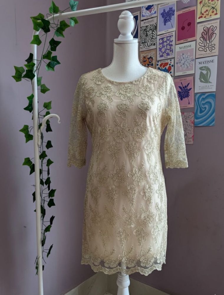Golden Net  Korean Dress