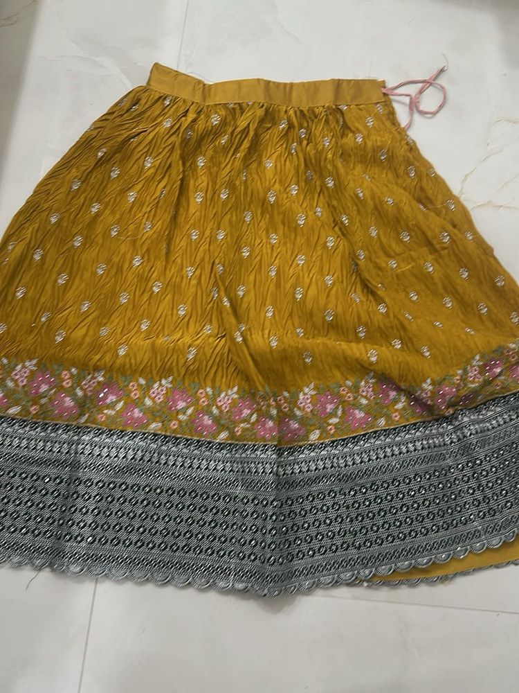 Ethnic lehnga and blouse