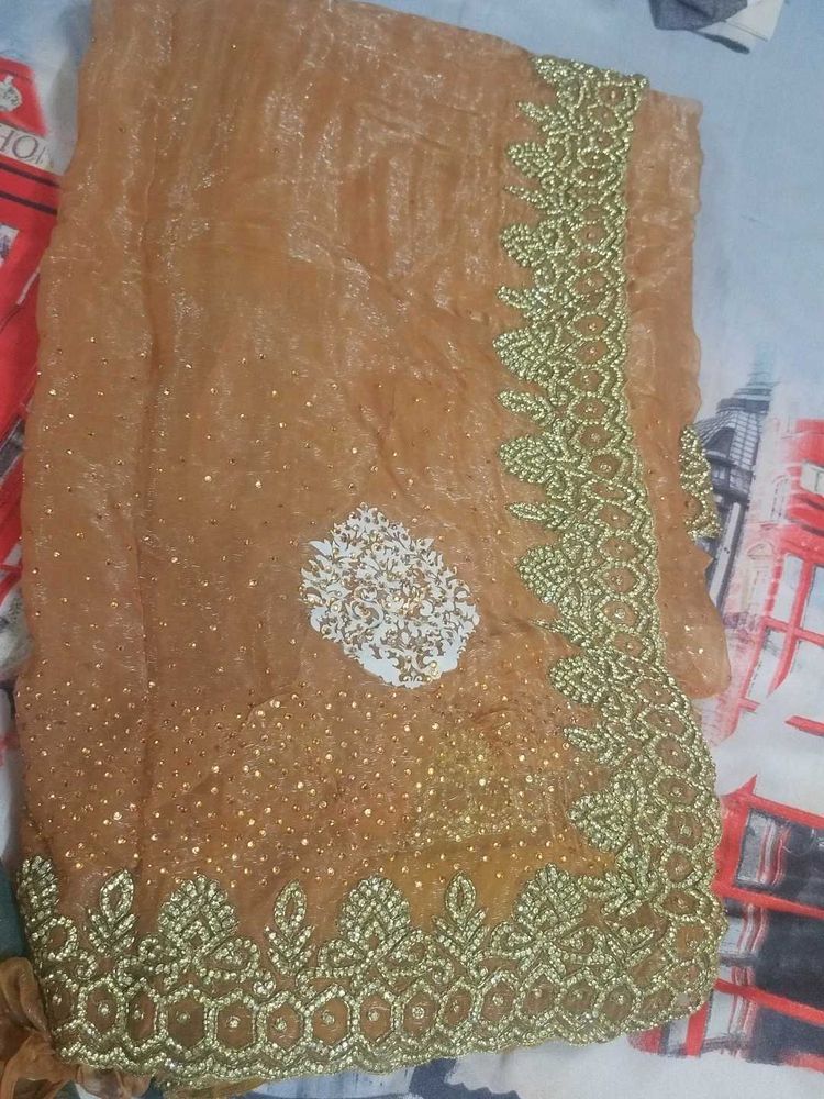 Elegant Embellished Saree