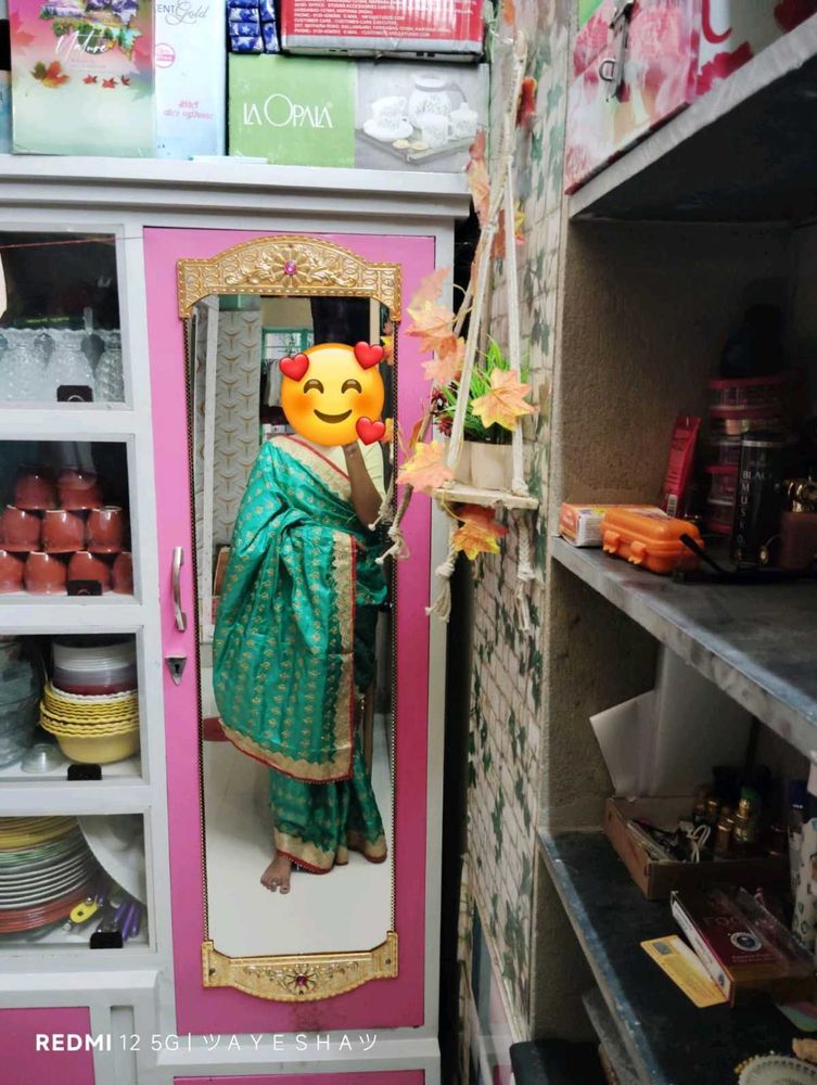 Elegant Green Sari