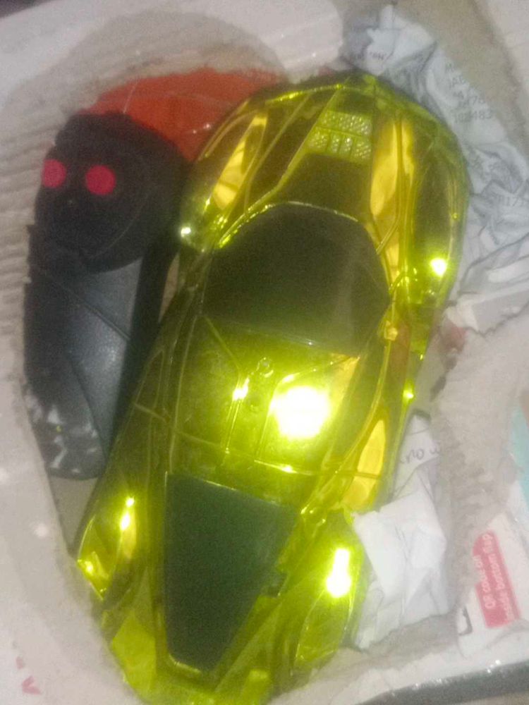 Toy Car and Bug