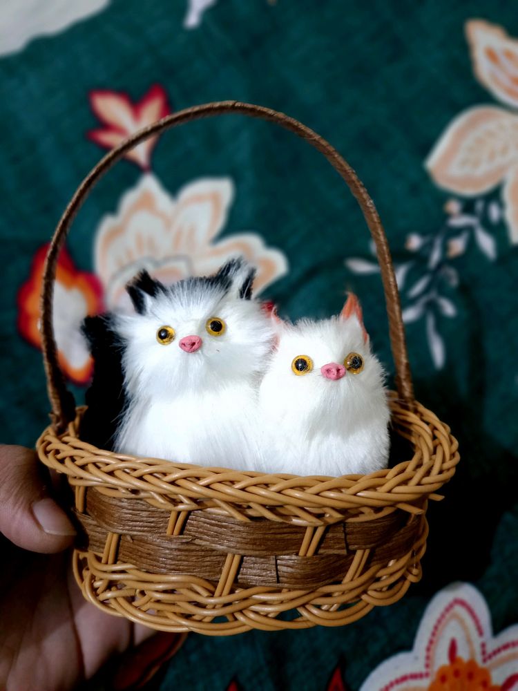 Gift For Special One