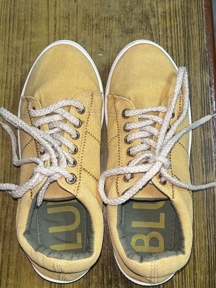 Westside Mustard Shoe