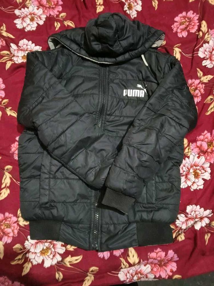 Puma Padded Jacket