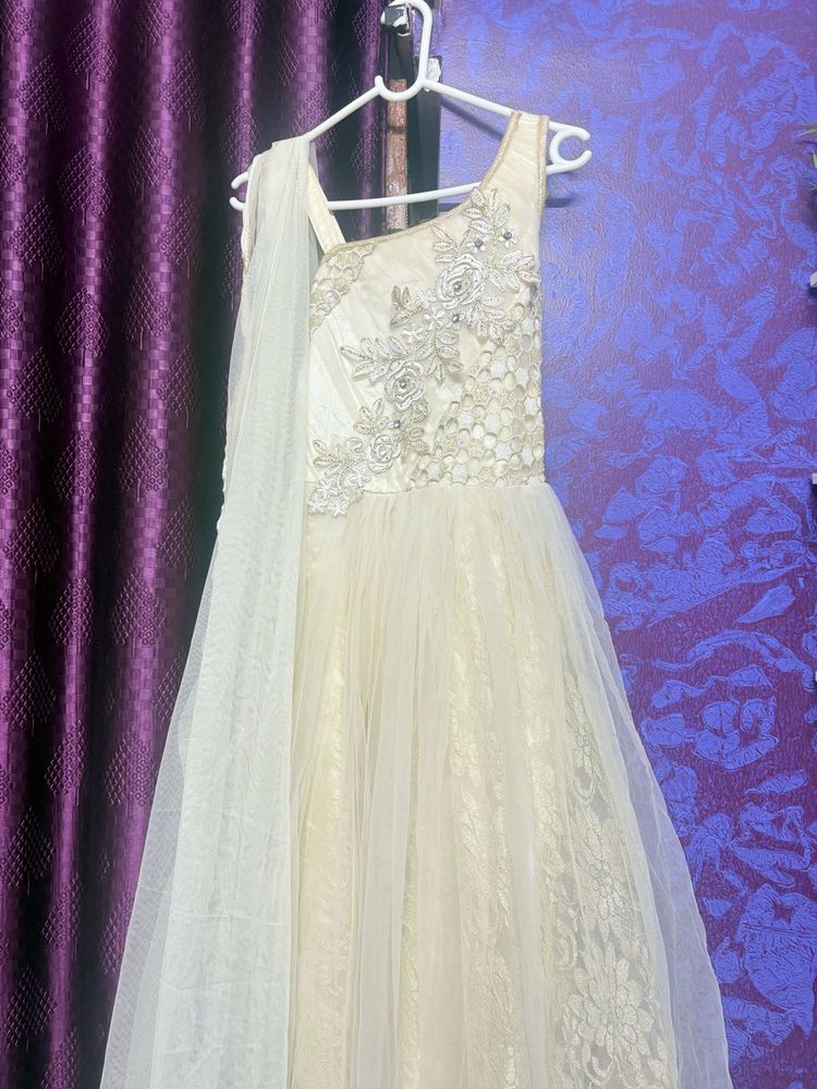 Elegant Ethnic Gown