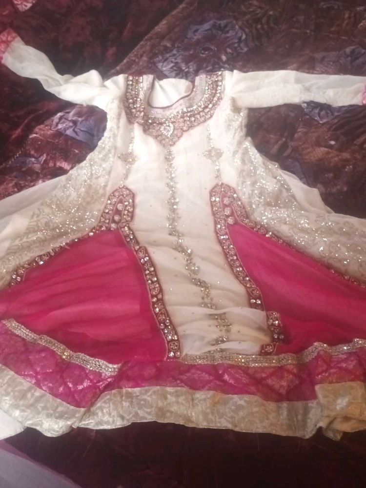 Elegant Pakistani/Indian Dress