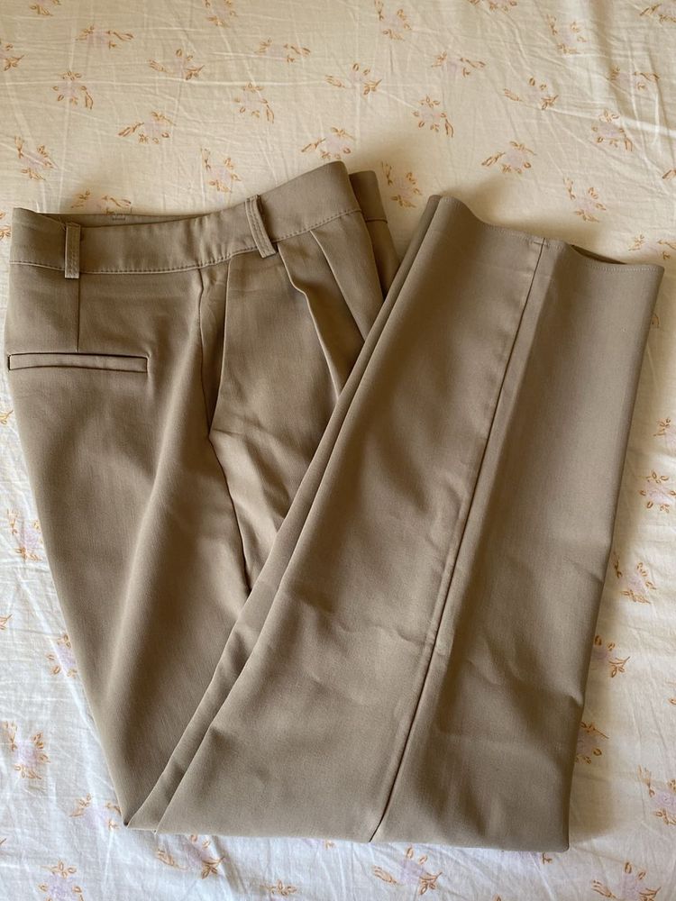 Straight Fit Formal Pants