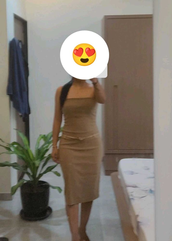Bodycon  Stretchable Women Dress