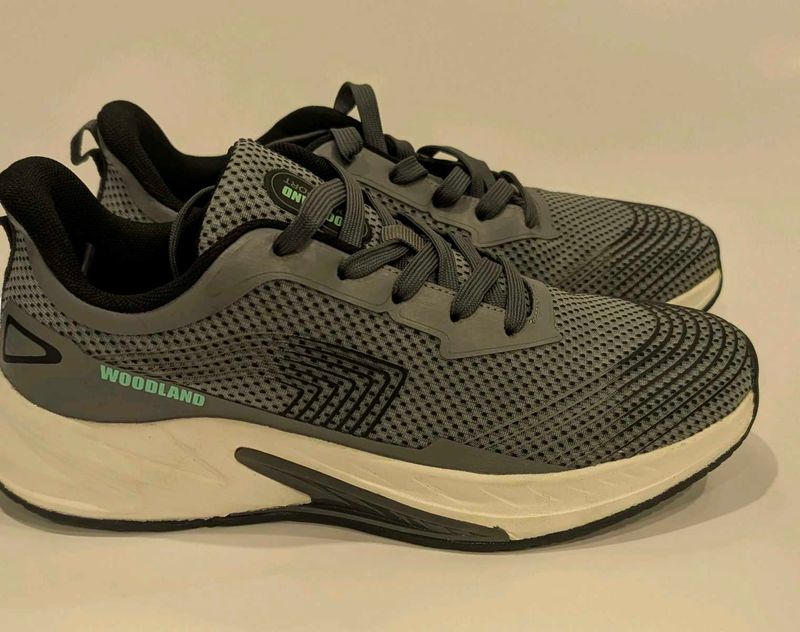 Mens Sport Shoes Size 7🔥