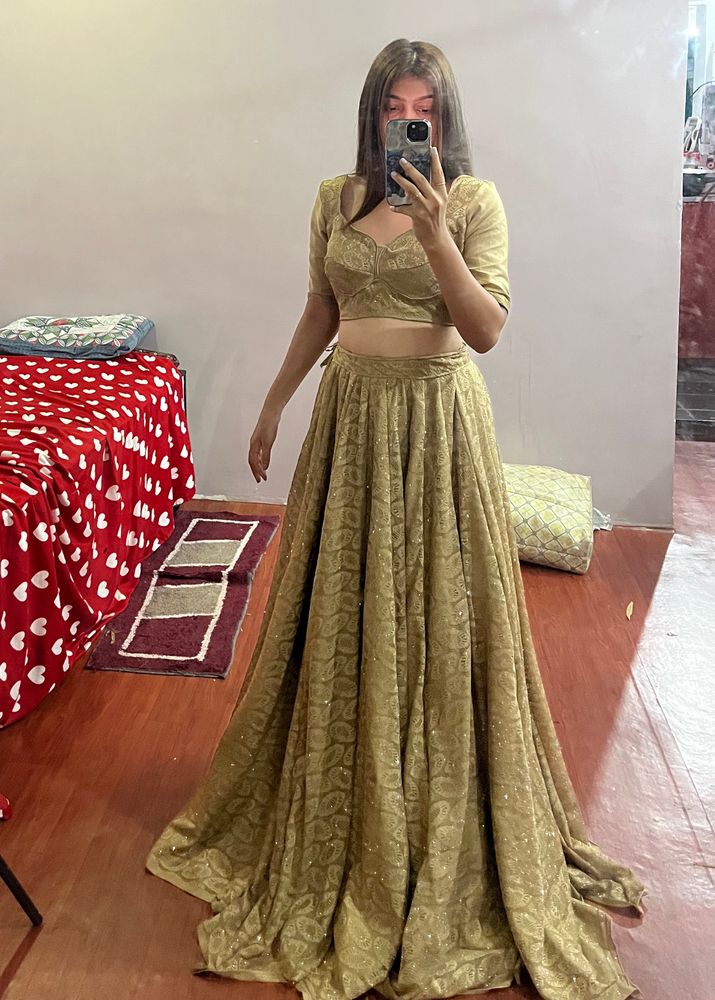 Sabyasachi Blouse And Choli For Today Only