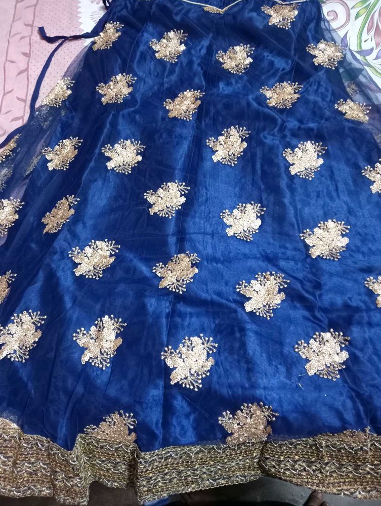 Blue Embellished Lehenga Choli