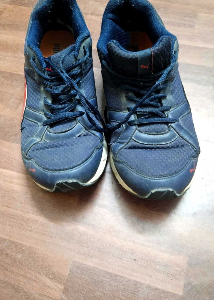 Puma Sports Shoes