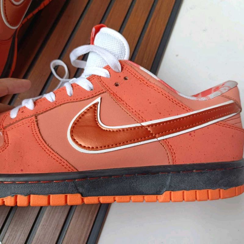 Nike SB Red Lobster New (Open For Negotiations)