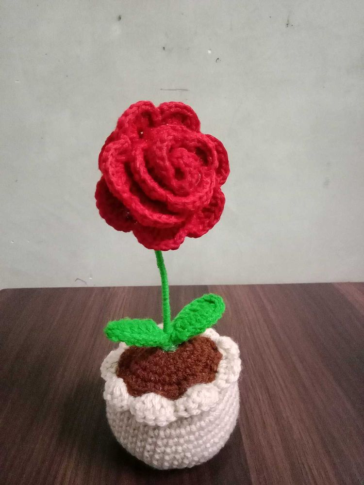 Rose Flower Pot ✨🌹