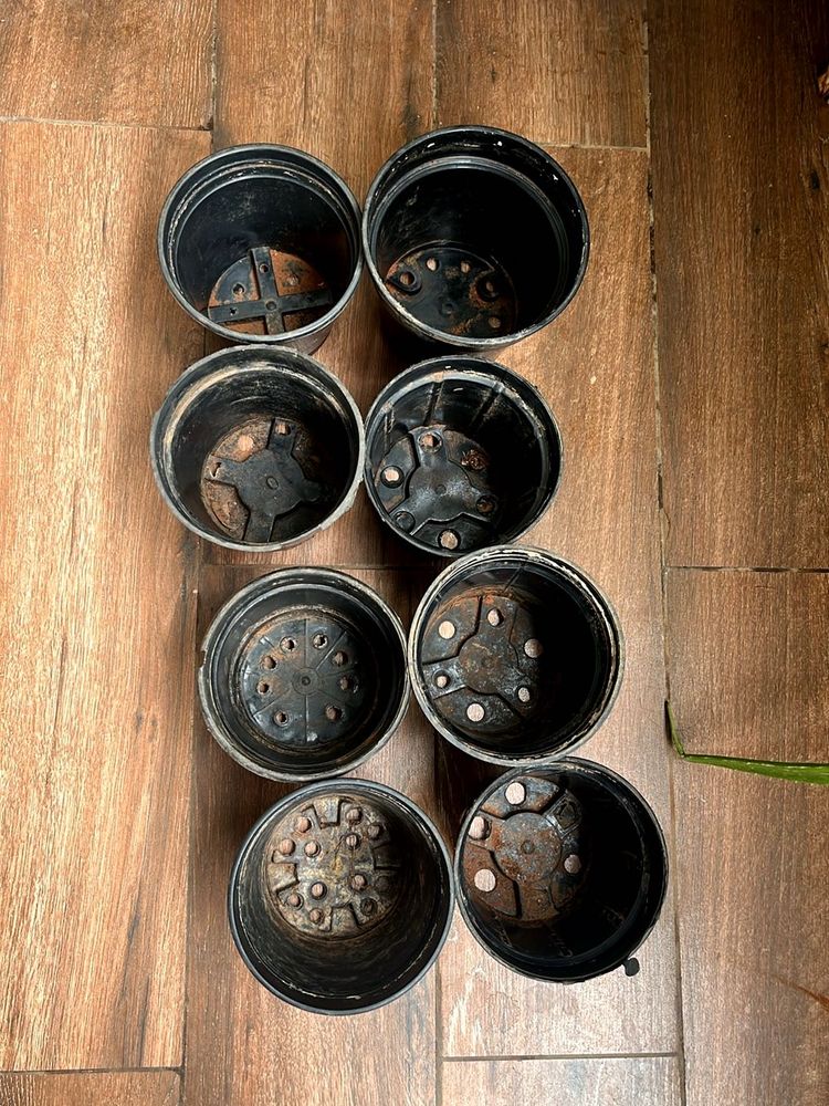 Plant Pots - Set of 8
