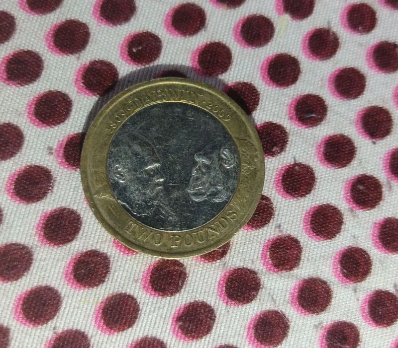 Rare Foreign Coin 🪙