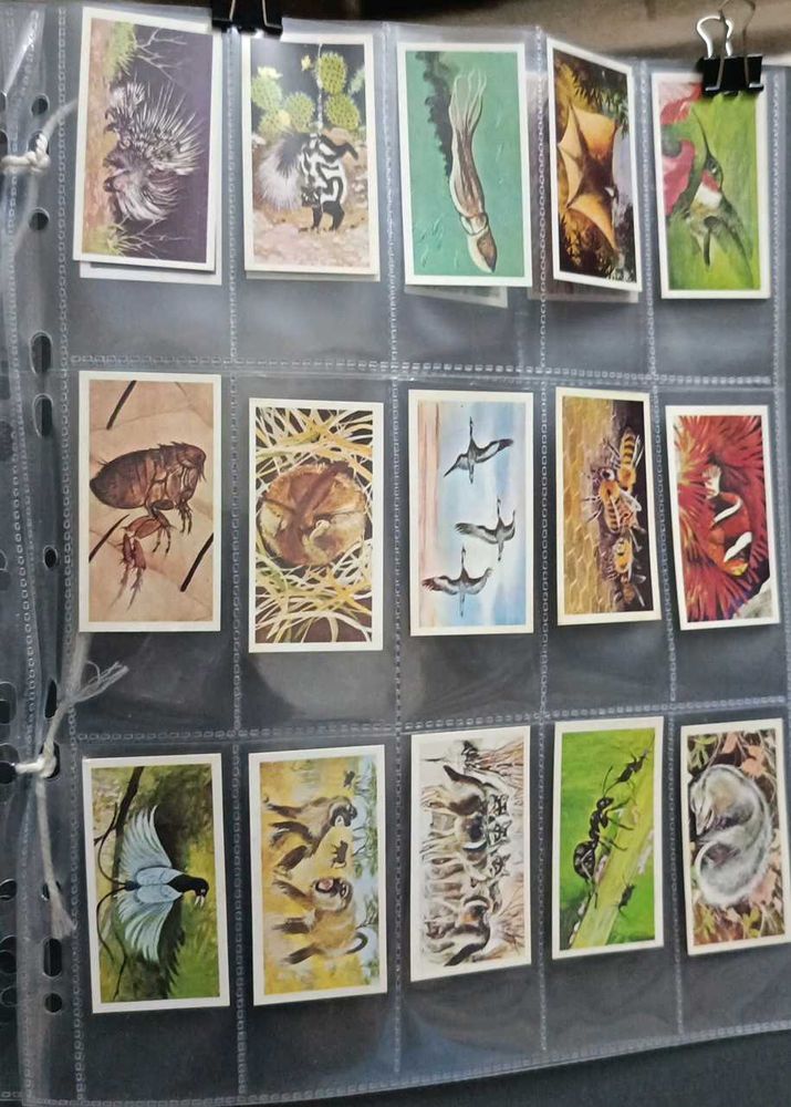 Vintage Collectible Cards