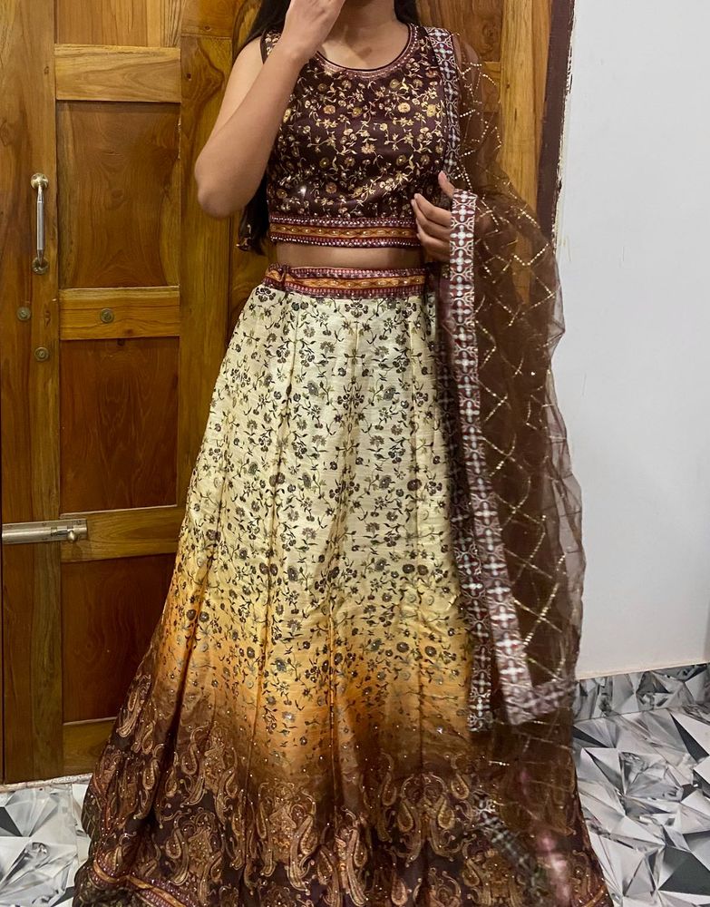 New Lehenga ( Patola Style)
