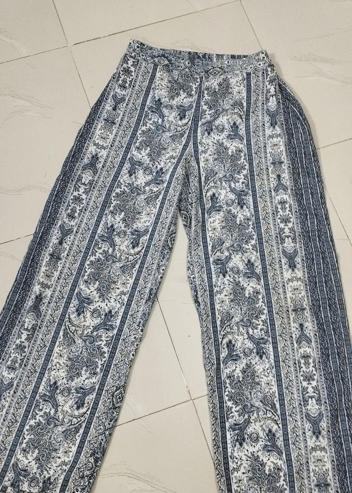 Plazo Pant