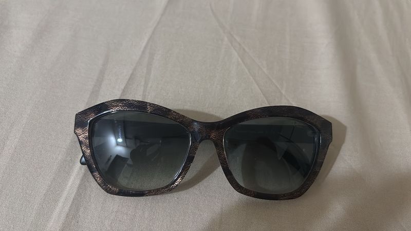 Roberto Cavalli Designer Sunglasses