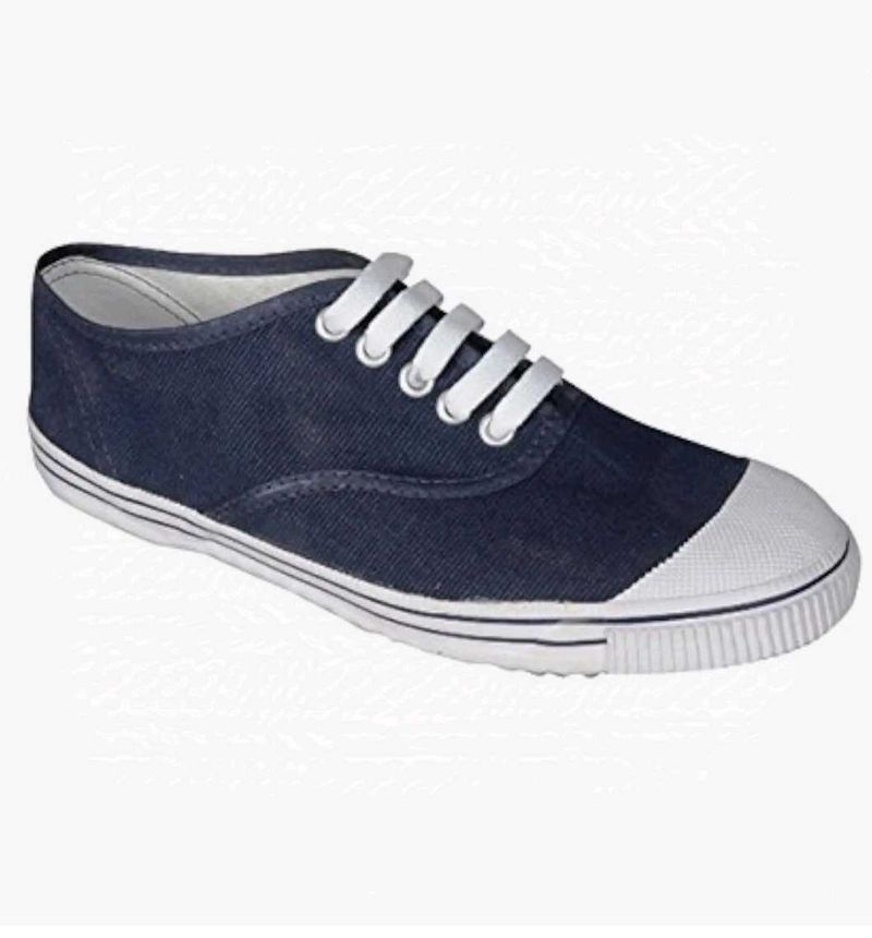 Casual Blue Canvas Shoes