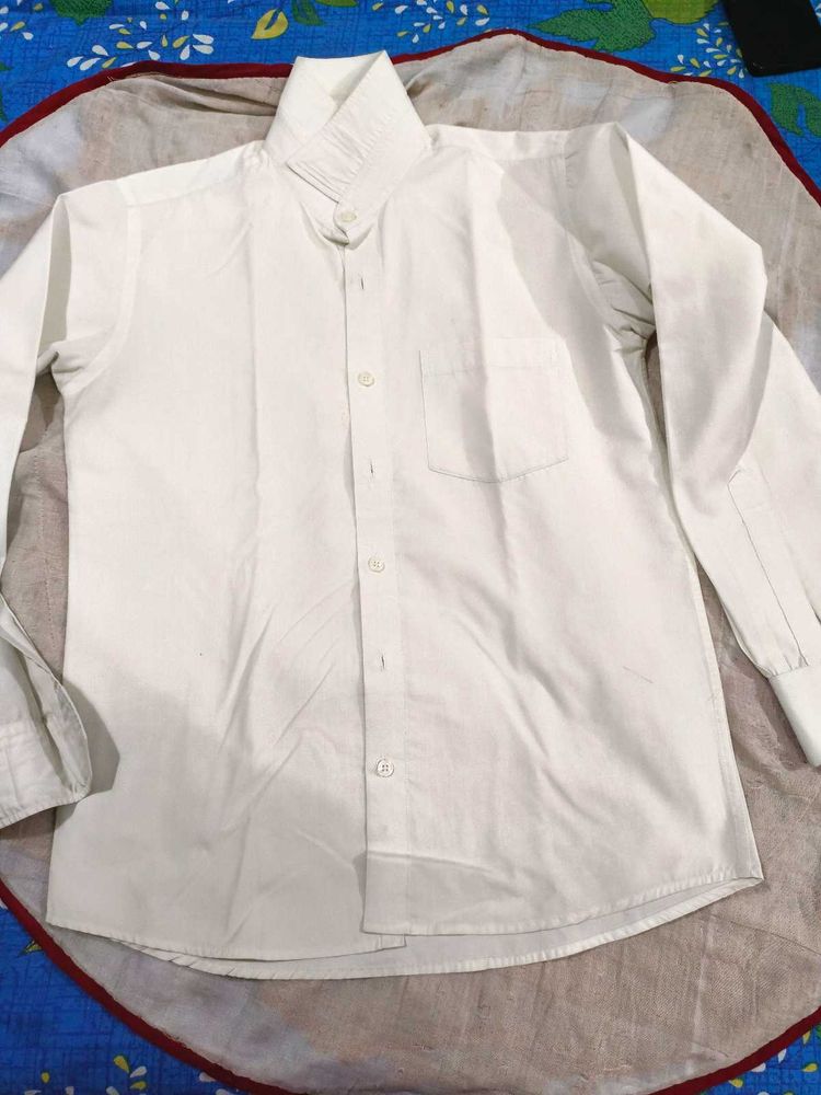 Mens Shirt- Regular Fit-36 Cm
