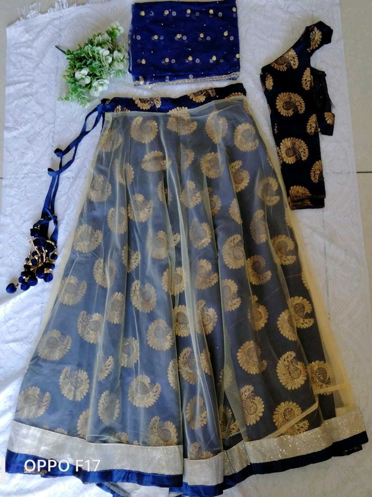 Navy Blue  Choli