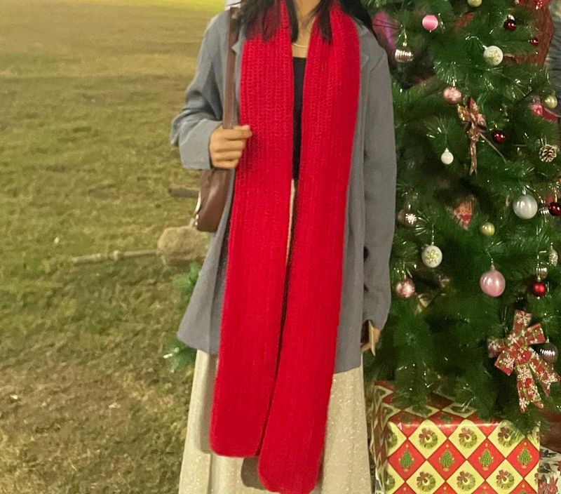 Red Mikasa Knit Scarf 🧣