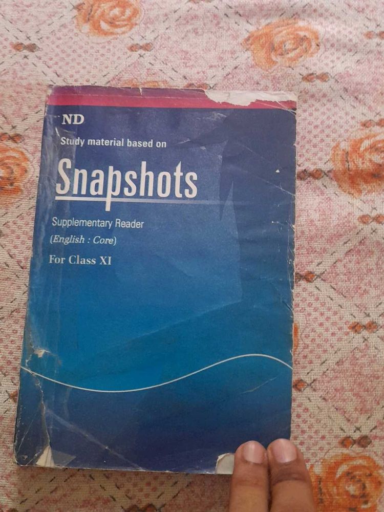 English Class 11 SNAPSHOT