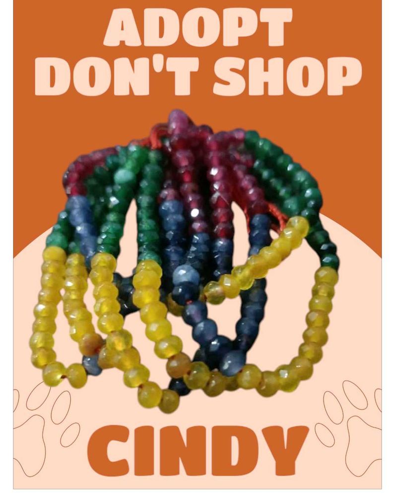 Colorful Beaded Necklace