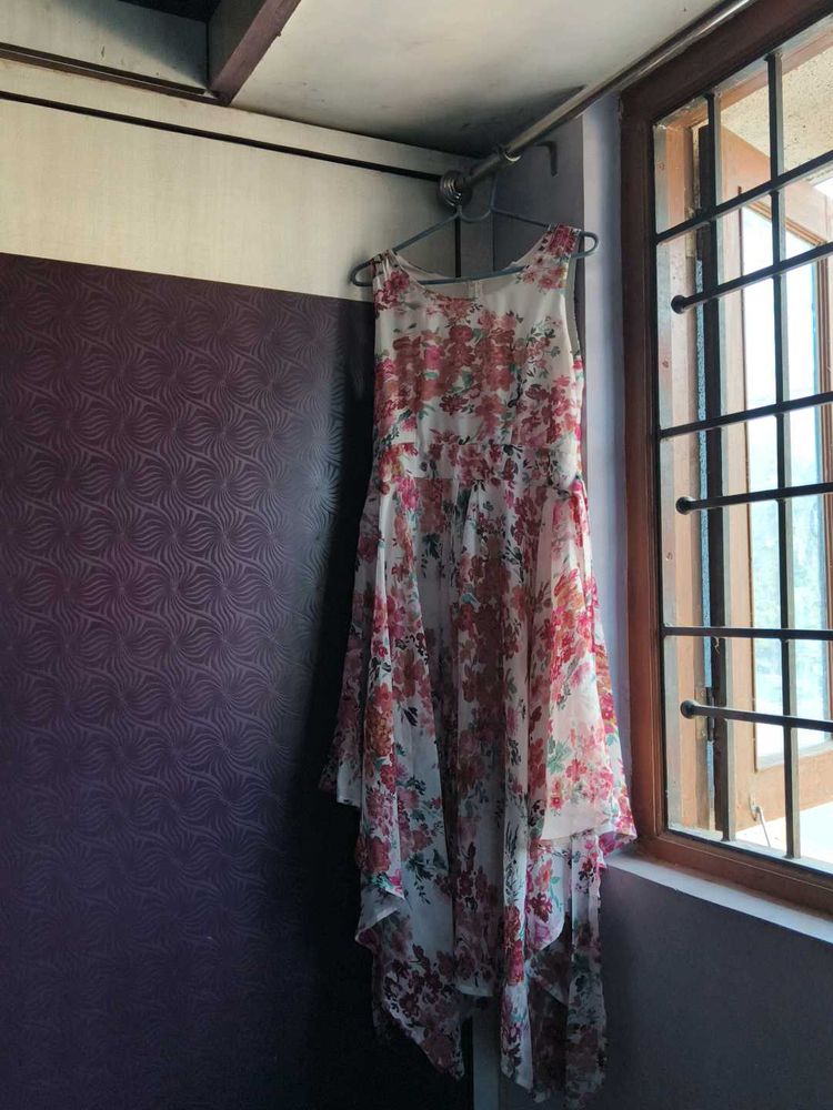 Floral Print Sleeveless Dress