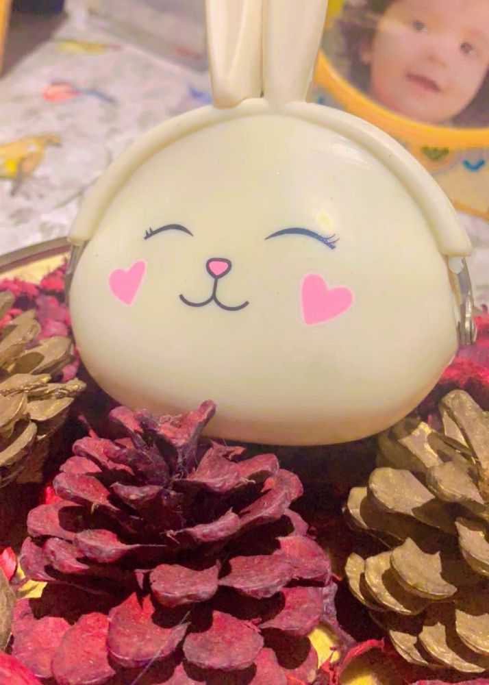 Beautiful Bunny Ear Wallet New