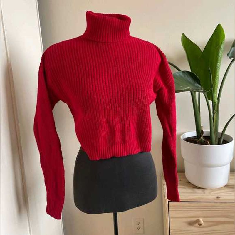 Forever21 Turtleneck Cropped Pullover