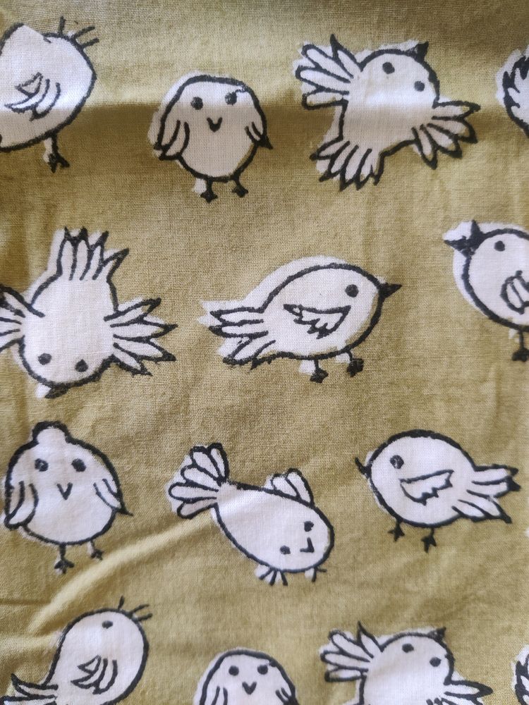 Chhapa Block Print Shorts