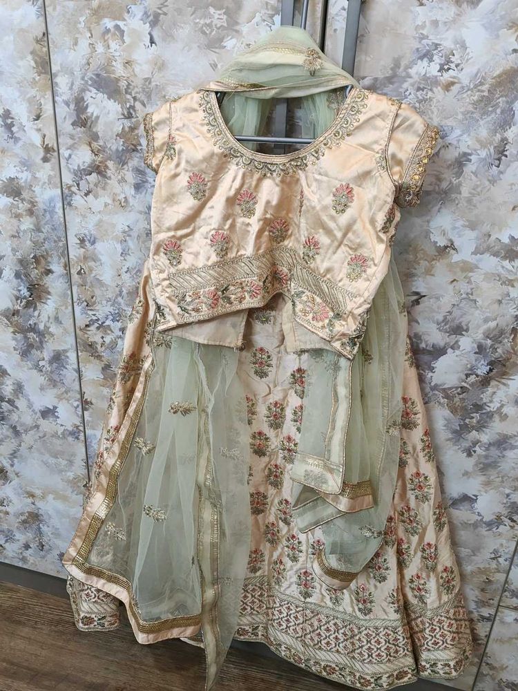 Elegant Lehenga Choli Set