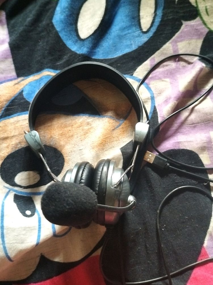 Zebronic Headphones with Microphone