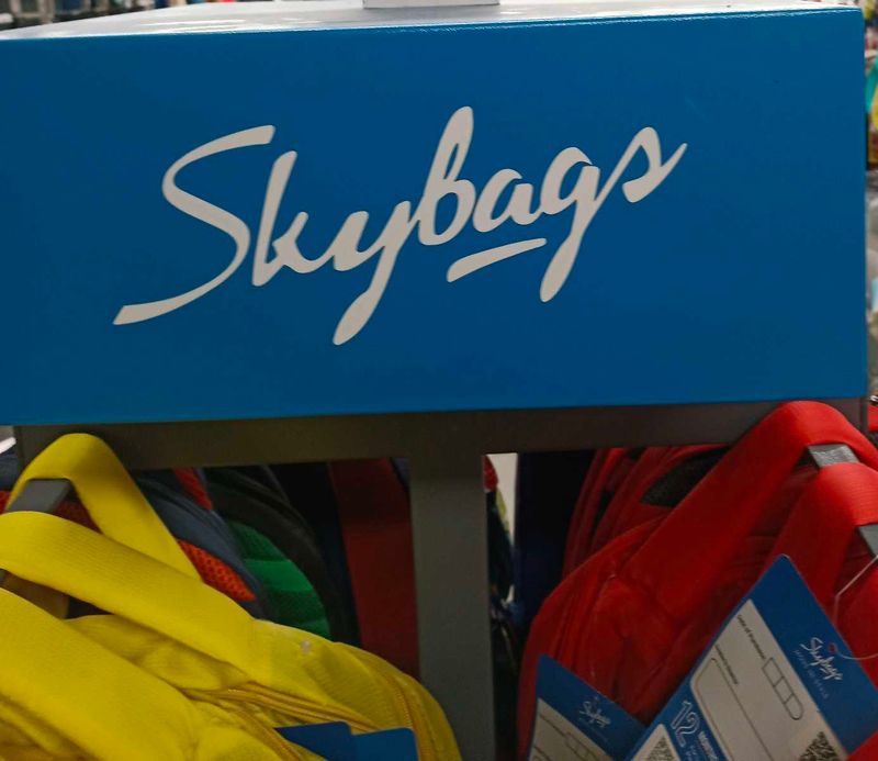 Skybags Backpack