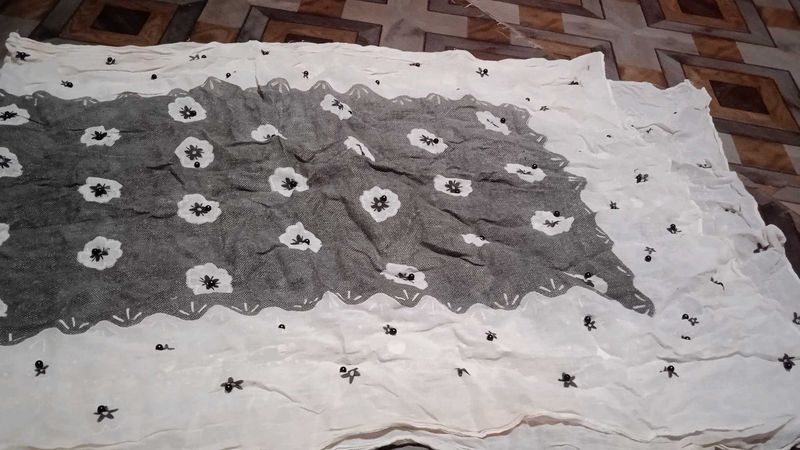 Elegant Embroidered Dupatta