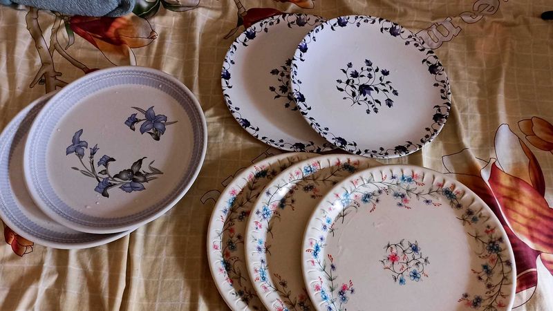 Combo Of 5 Plates