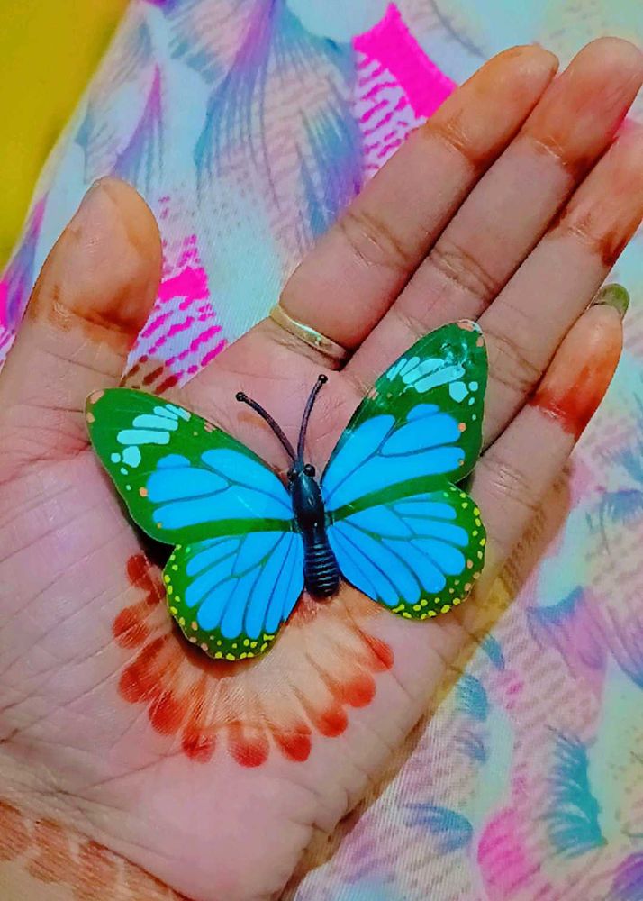 Butterfly Toy
